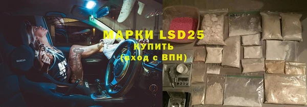 гидра Богданович