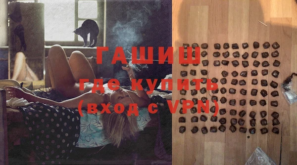 гидра Богданович