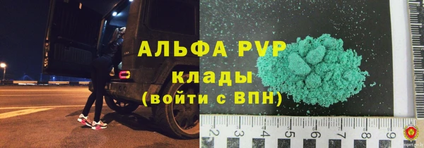 гидра Богданович